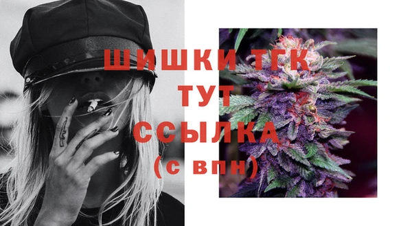 СК Белокуриха