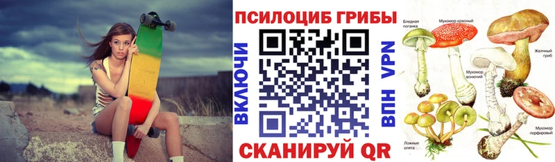 Псилоцибиновые грибы Psilocybe Козьмодемьянск